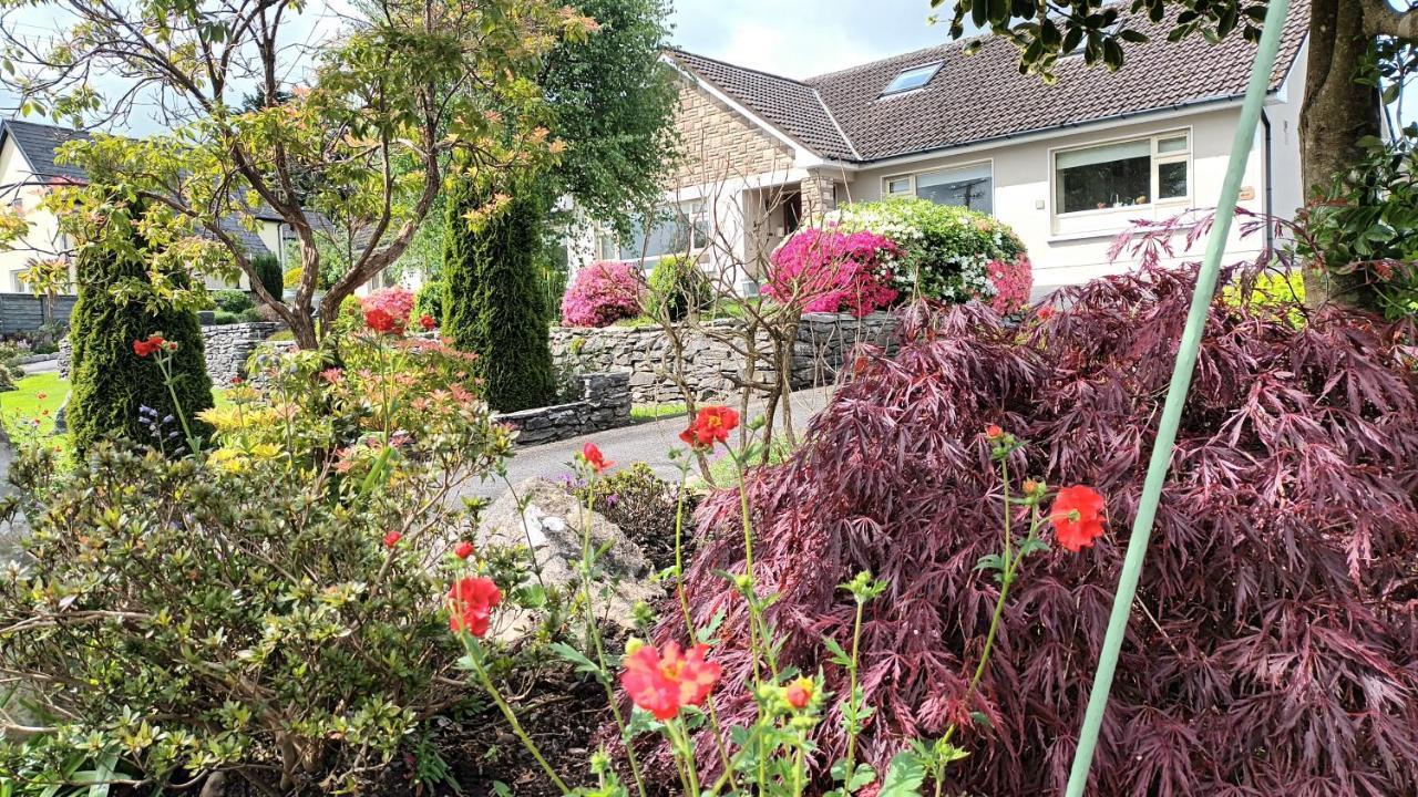 Laburnum B&B Kenmare Exterior foto